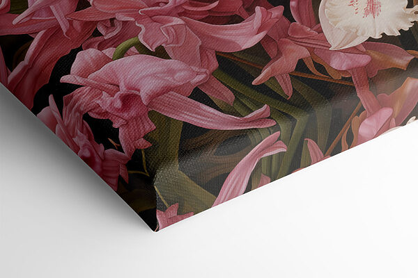 Colorful orchids in vibrant display