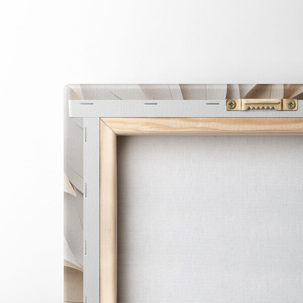 Flowing shapes in soft hues