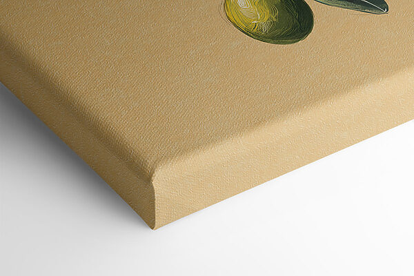 - Fresh olives on elegant branches