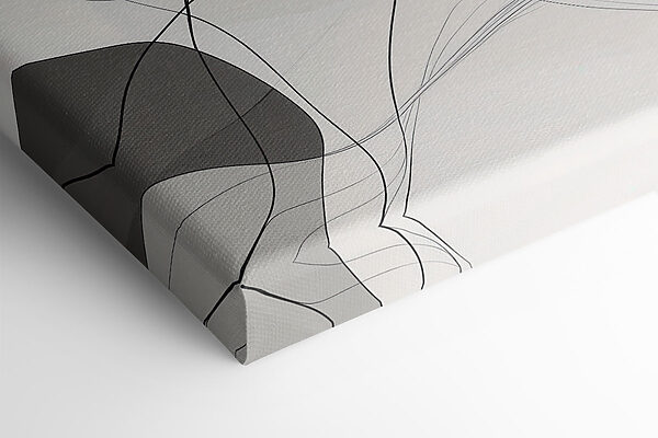 Dynamic lines create soft harmony