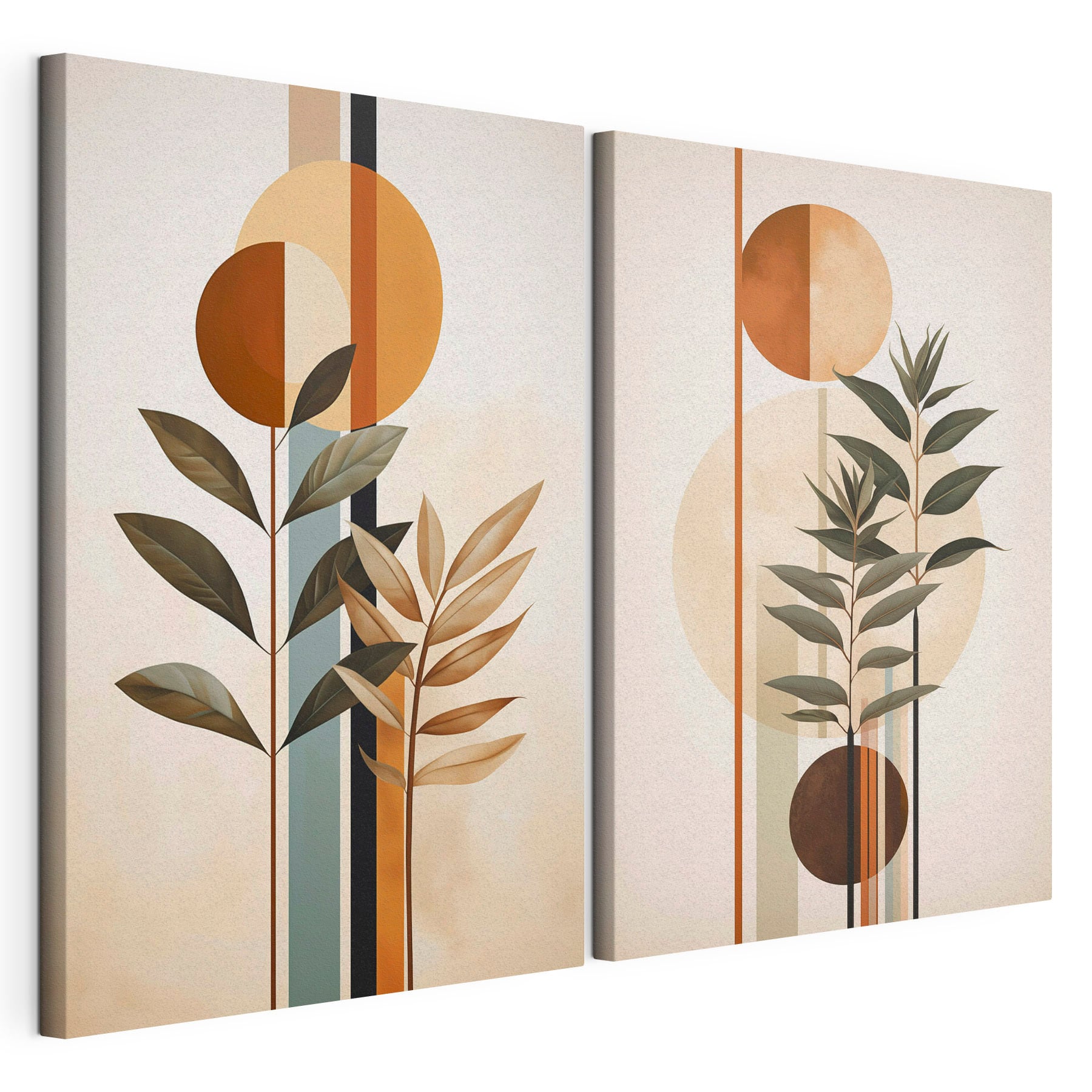 Two images of plants and circles