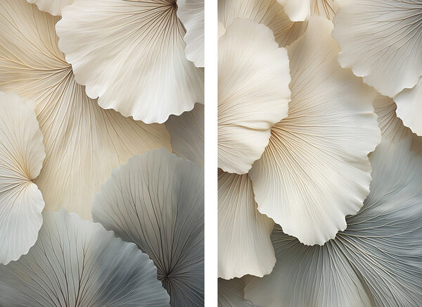 Elegant layers of soft, flowing petals