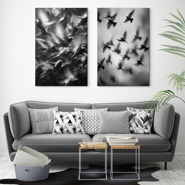 Collage of birds flying