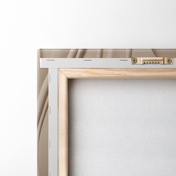 Fluid forms and soft curves unite