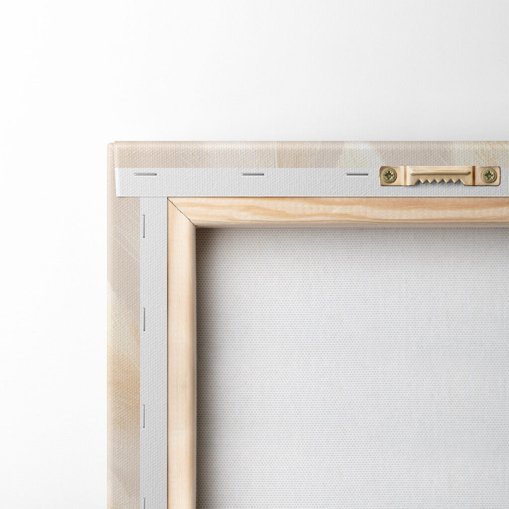 Delicate grasses in soft hues