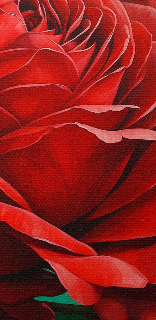 s40339pzvl 499x1024 - Zářivý květ v plném květu - tegory