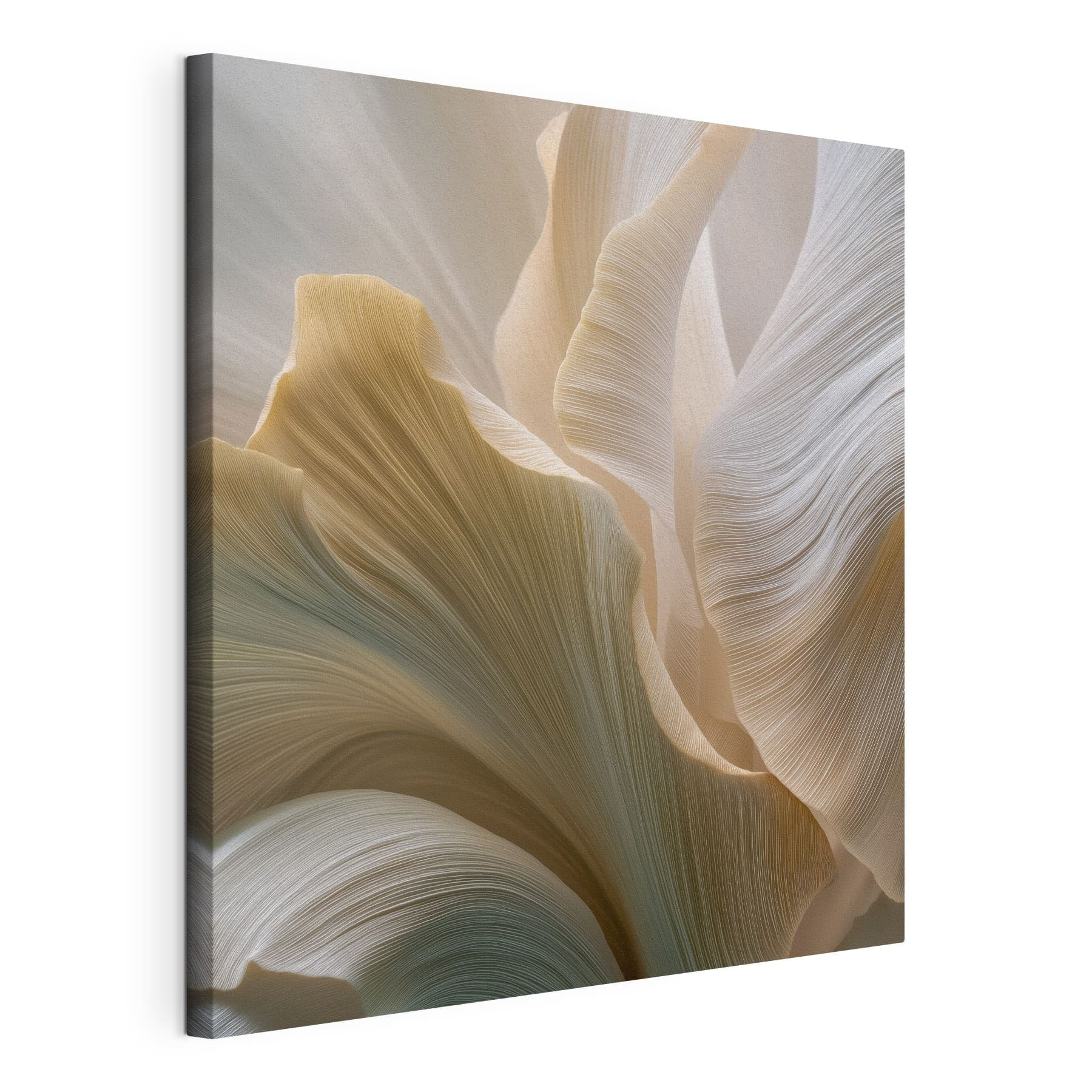 Nature's delicate wave-like patterns